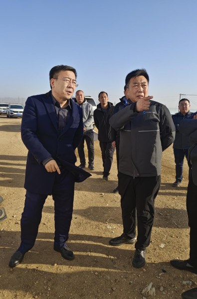 图片7